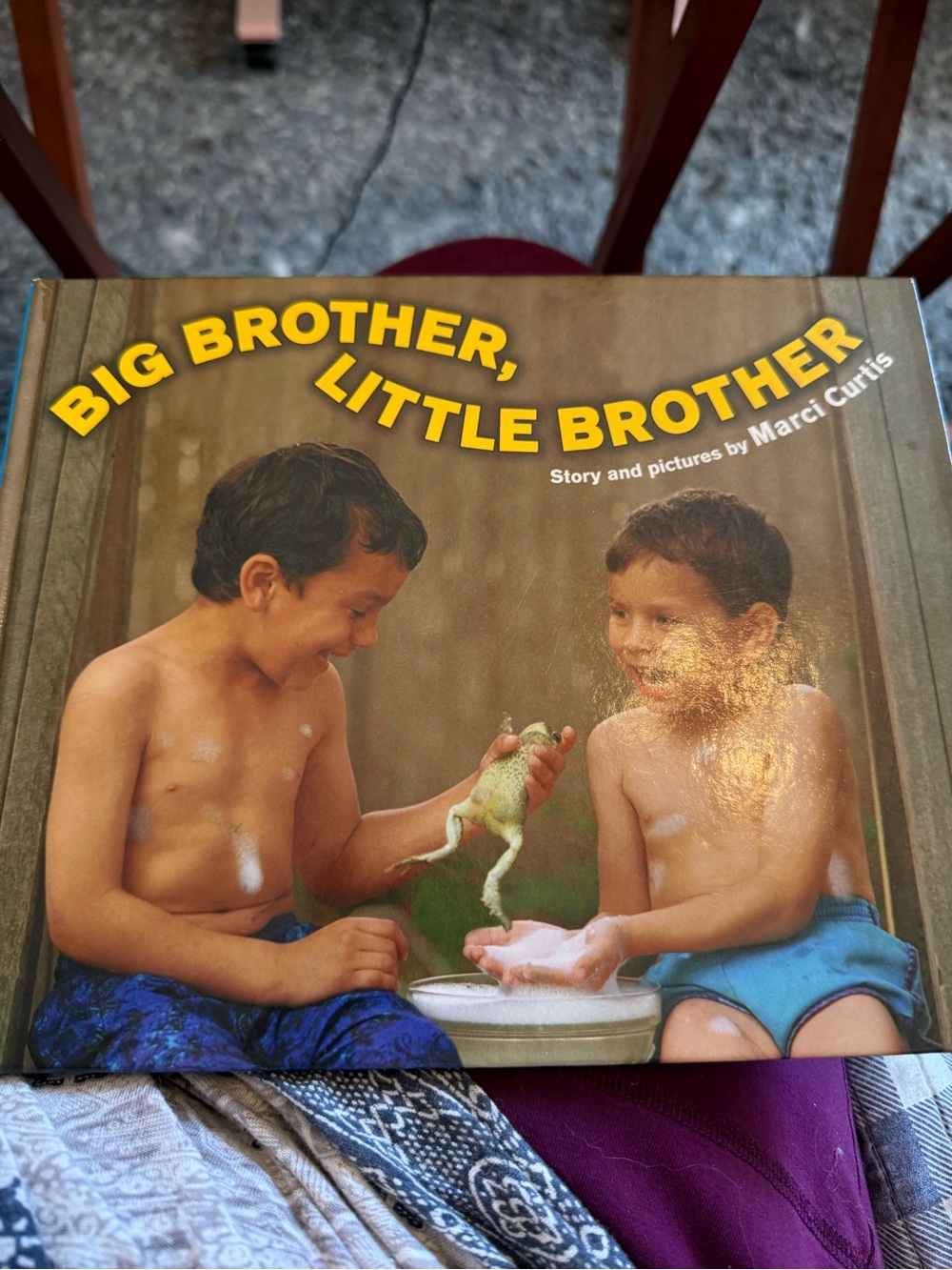 Big Brother, Little Brother Picture Hardcover Book